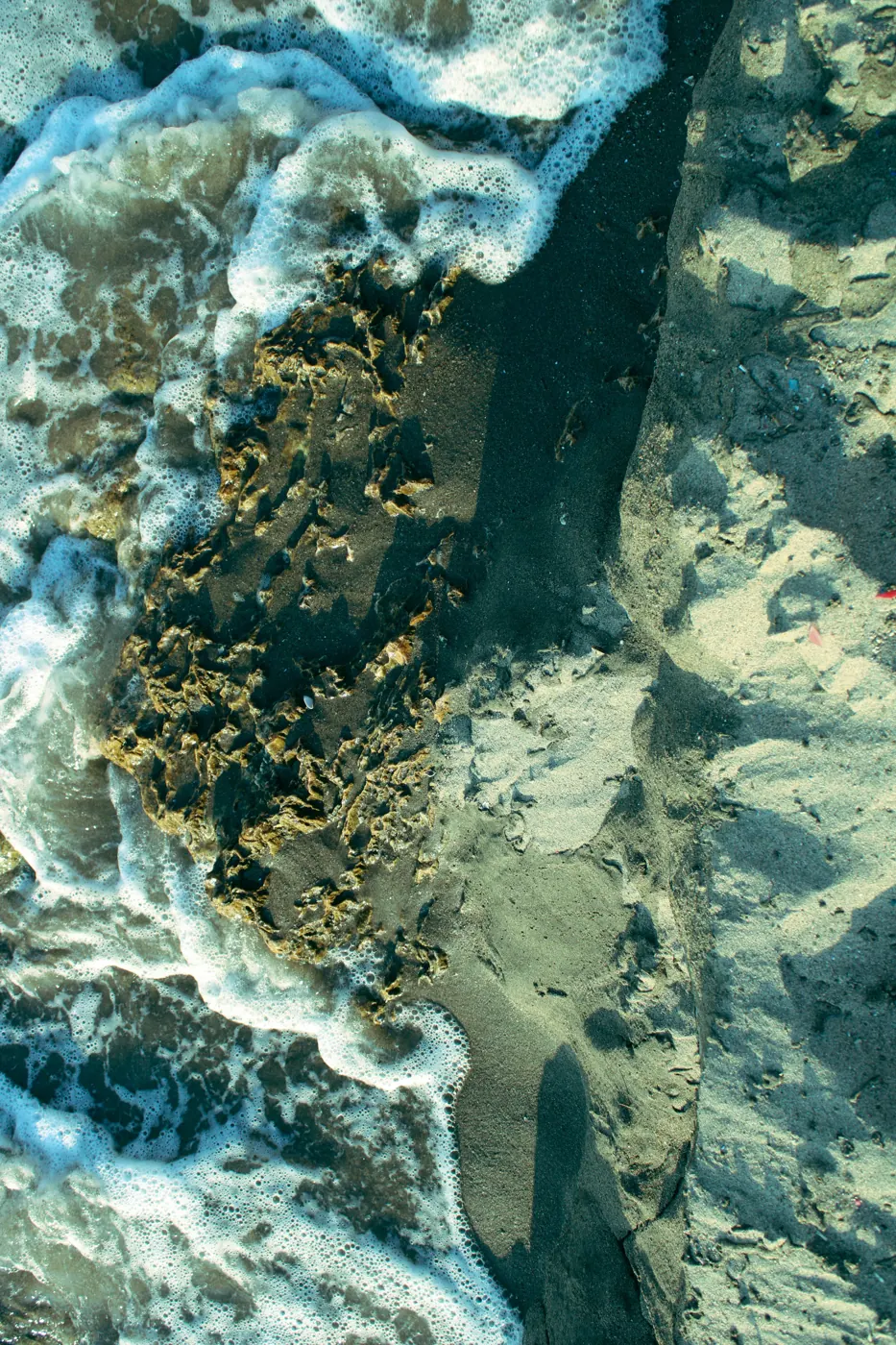 The beach