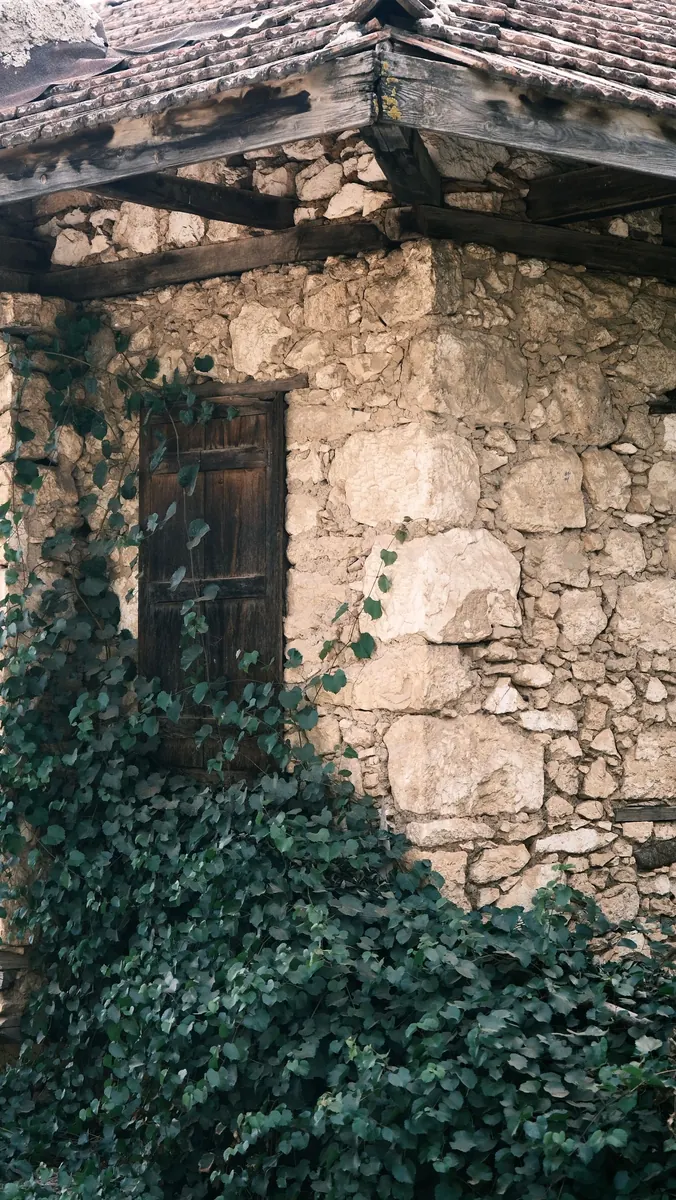 The front door