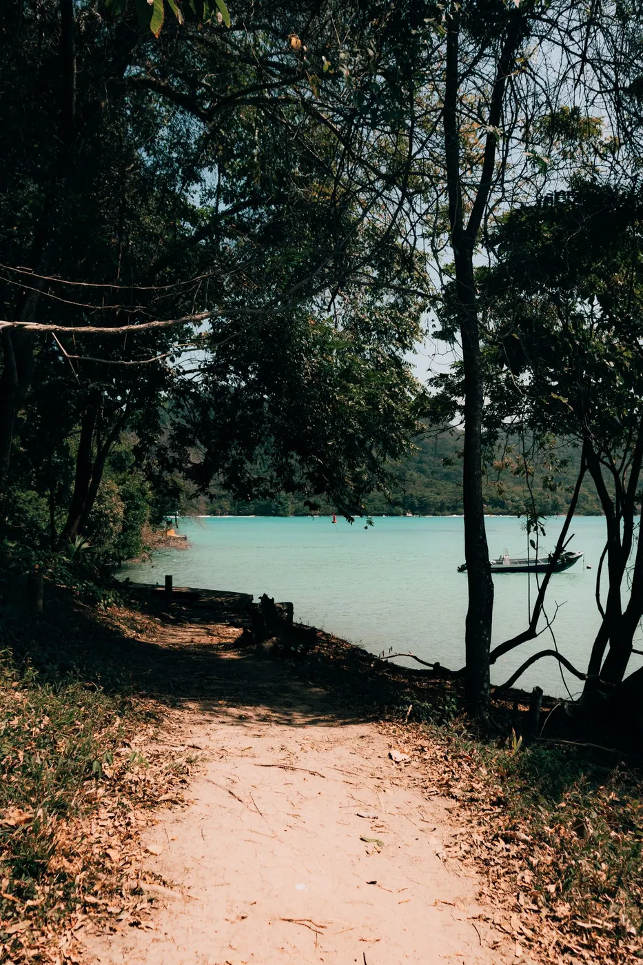 Walking path by the lake