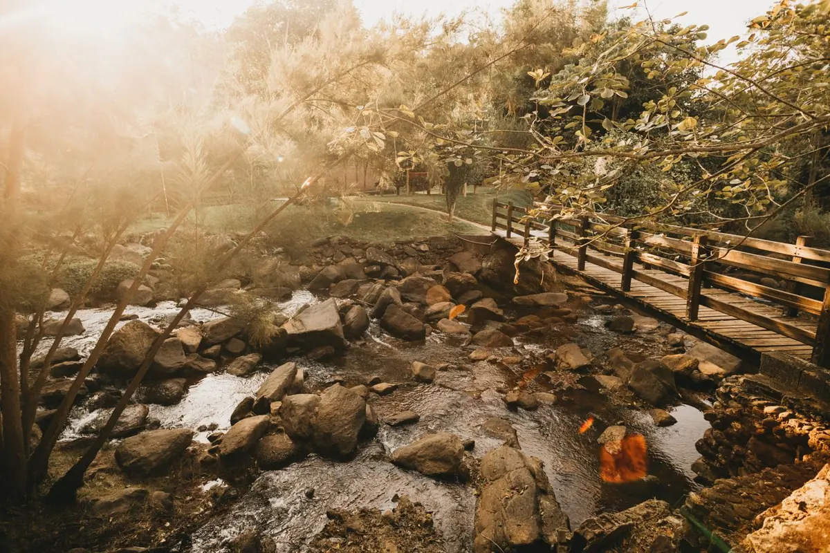 Creek walk